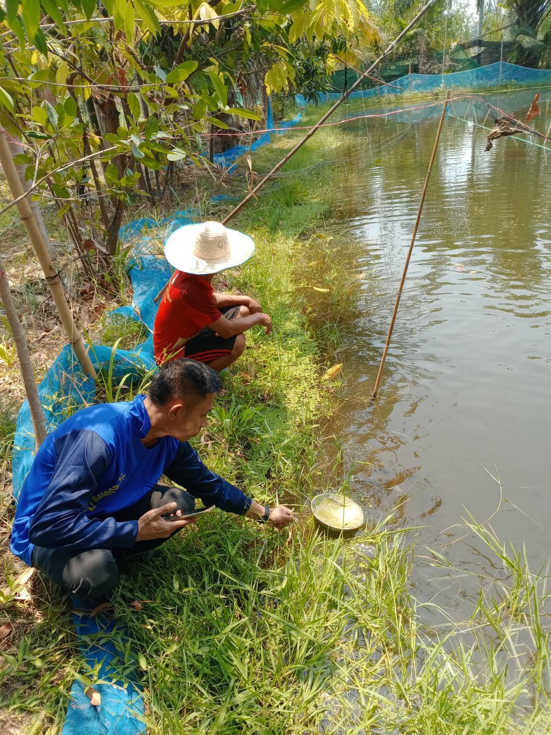 ร่วมขับเคลื่อนการจัดทำแปลงต้นแบบอาหารสัตว์น้ำลดต้นทุน..คลิก