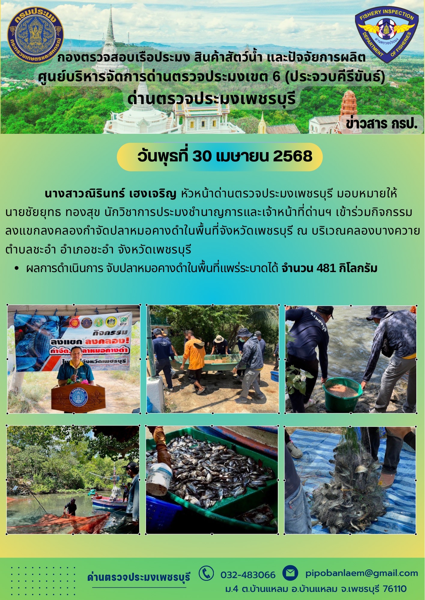 ลงแขกลงคลองกําจัดปลาหมอคางดําในพื้นที่จังหวัดเพชรบุรี..คลิก