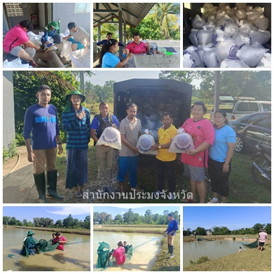 ผลการปฏิบัติงานประจำวันพฤหัสบดีที่ 1 พฤษภาคม 2568..คลิก