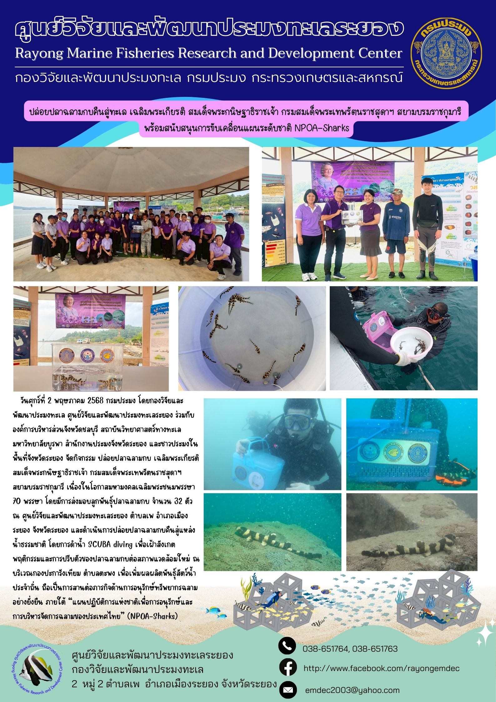 ปล่อยปลาฉลามกบคืนสู่ทะเล เฉลิมพระเกียรติ สมเด็จพระกนิษฐาธิราชเจ้า กรมสมเด็จพระเทพรัตนราชสุดาฯ พร้อมสนับสนุนการขับเคลื่อนแผนระดับชาติ NPOA-Sharks