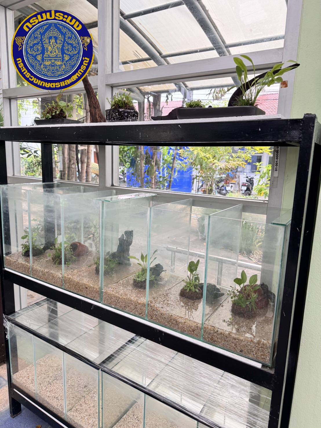 กรมประมงจัดนิทรรศการหมุนเวียน Wabi Kusa : ศิลปะแห่งพรรณไม้น้ำ