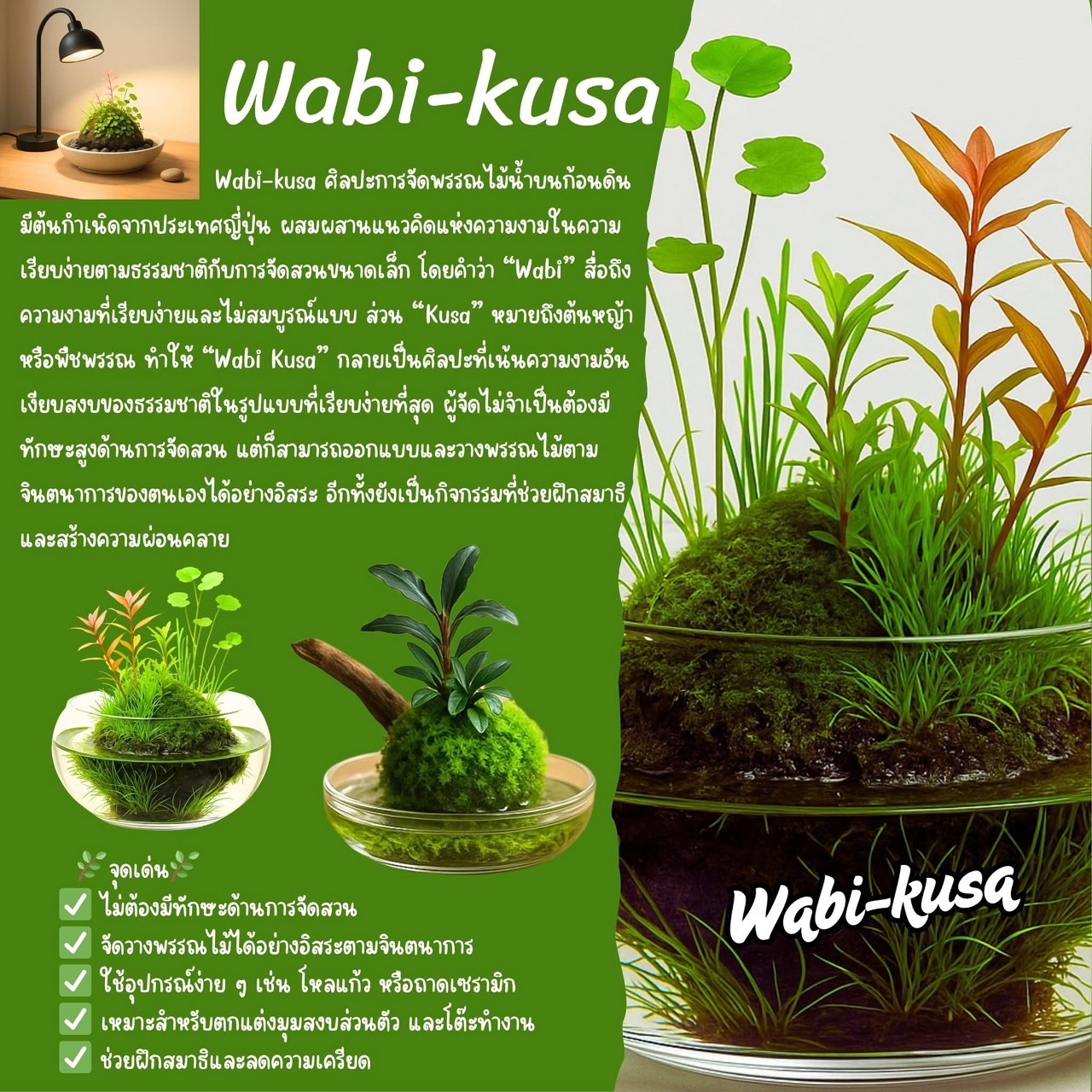 กรมประมงจัดนิทรรศการหมุนเวียน Wabi Kusa : ศิลปะแห่งพรรณไม้น้ำ