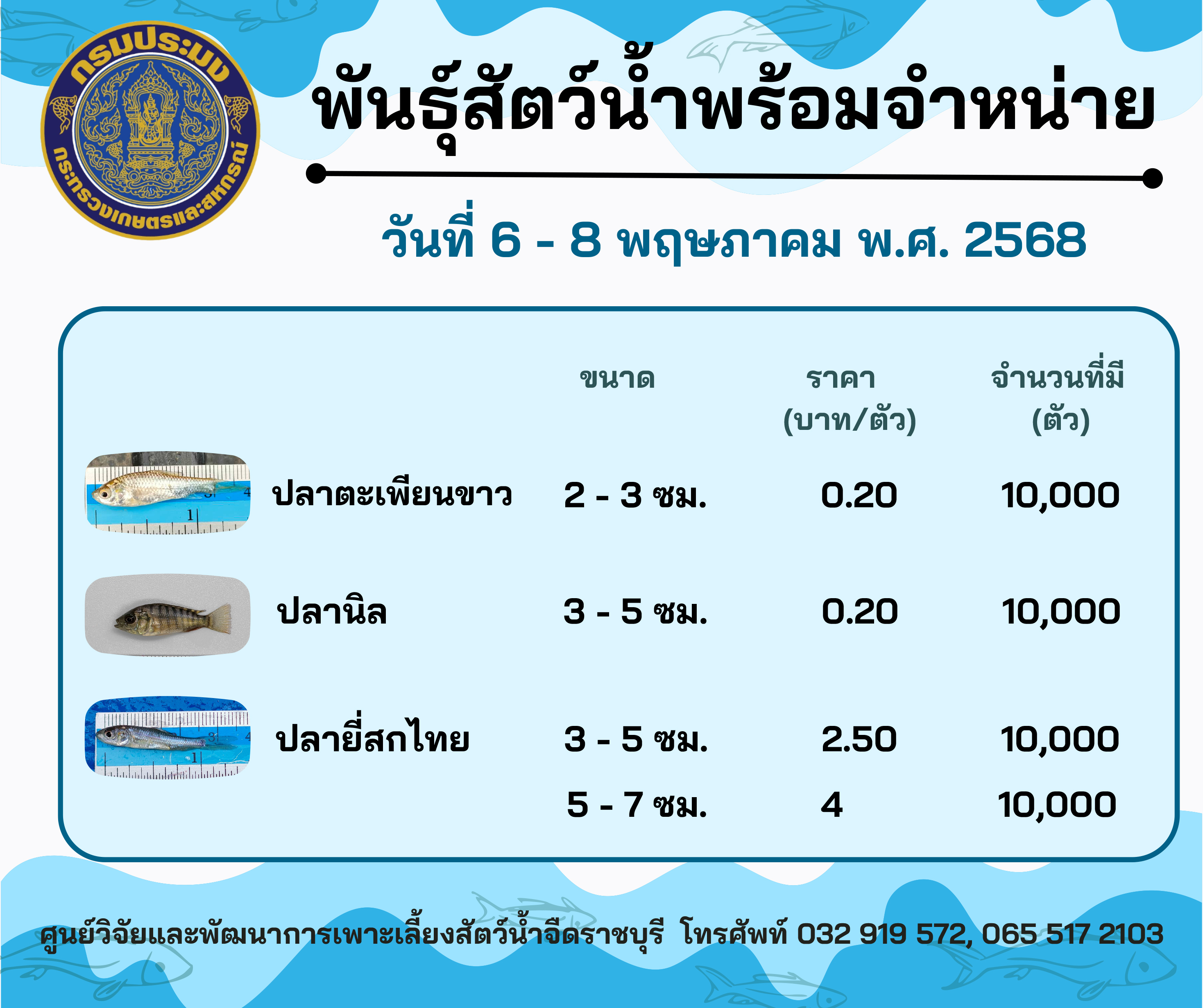 ลูกพันธุ์สัตว์น้ำพร้อมจำหน่ายสัปดาห์นี้ วันที่ 6 - 8 พฤษภาคม พ.ศ. 2568..คลิก