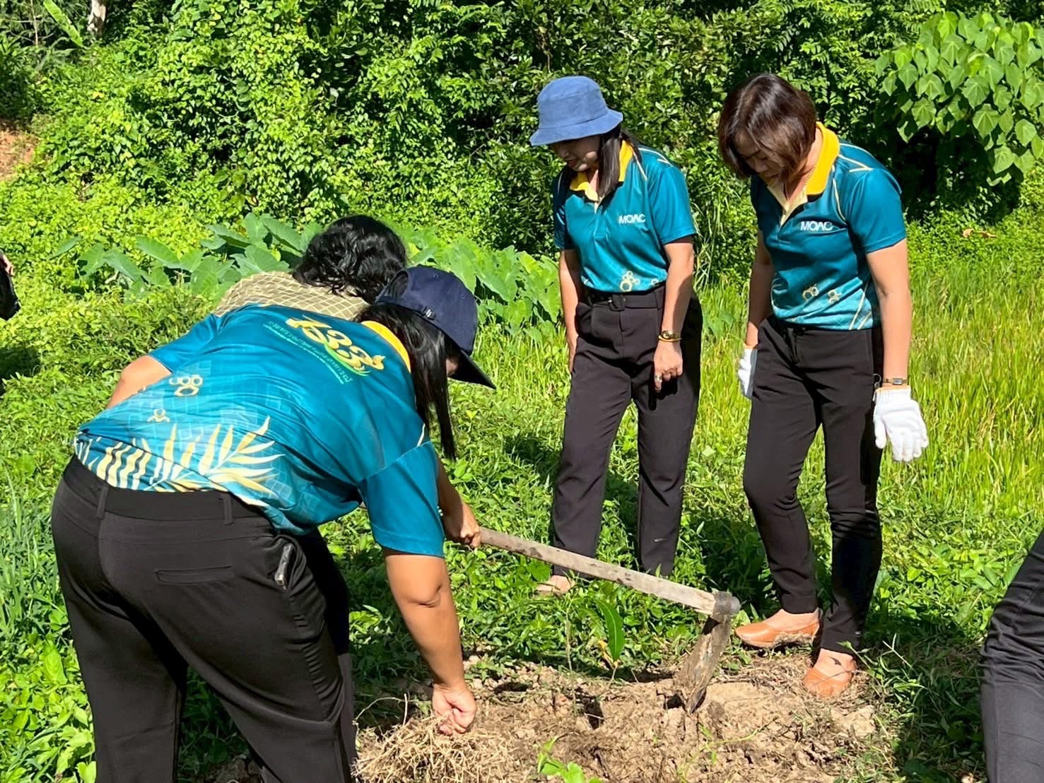 กิจกรรมวันต้นไม้ประจำปีของชาติ พ.ศ. 2568