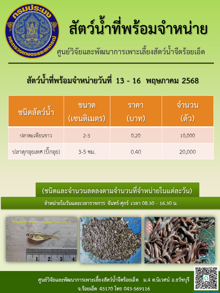 สัตว์น้ำที่พร้อมจำหน่ายวันที่ 13 - 16  พฤษภาคม 2568..คลิก