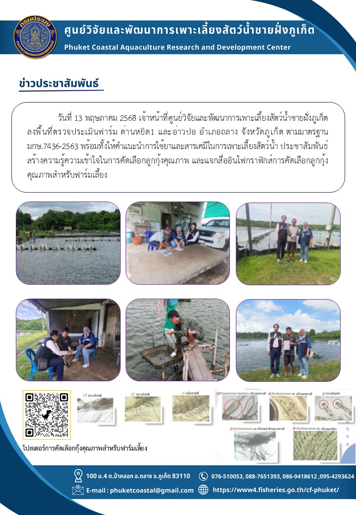 วันที่ 13 พฤษภาคม 2568 เจ้าหน้าที่ศูนย์วิจัยและพัฒนาการเพาะเลี้ยงสัตว์น้ำชายฝั่งภูเก็ต ลงพื้นที่ตรวจประเมินฟาร์ม ด่านหยิด1 และอ่าวปอ อำเภอถลาง จังหวัดภูเก็ต ตามมาตรฐาน มกษ.7436-2563 พร้อมทั้งให้คำแนะนำการใช้ยาและสารเคมีในการเพาะเลี้ยงสัตว์น้ำ ประชาสัมพันธ์สร้างความรู้ความเข้าใจในการคัดเลือกลูกกุ้งคุณภาพ และแจกสื่ออินโทรกราฟิกส์การคัดเลือกลูกกุ้งคุณภาพสำหรับฟาร์มเลี้ยง..คลิก