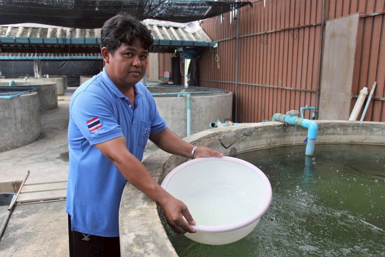 เจ้าหน้าที่จากกลุ่มเผยแพร่และประชาสัมพันธ์ สำนักเลขานุการ กรมประมง ได้เข้าเยี่ยมชมศูนย์วิจัยและพัฒนาการเพาะเลี้ยงสัตว์น้ำจืดสุพรรณบุรีเพื่อถ่ายทำวีดีทัศน์เรื่อง “การส่งเสริมการประกอบอาชีพแก่ผู้ประกอบธุรกิจประมง “ปลาม้า”