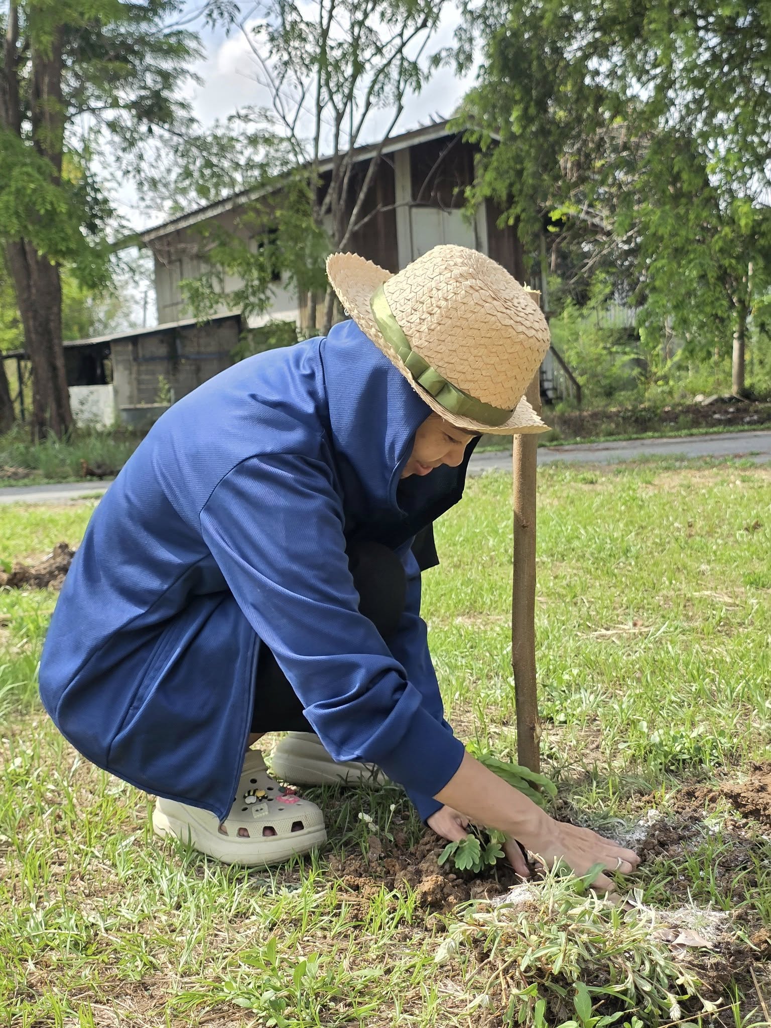 จัดกิจกรรมวันต้นไม้ประจำปีของชาติ พ.ศ.2568