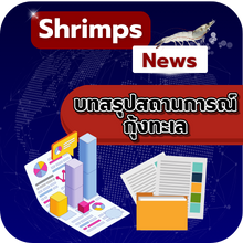 ข้อมูลอัพเดทสถานการณ์ประเทศผู้ผลิตกุ้ง เดือนพฤษภาคม ปี 2568