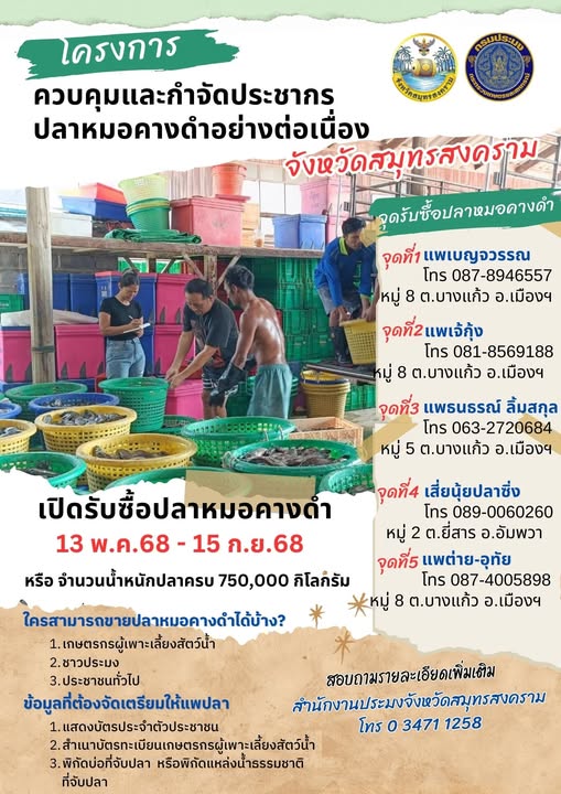 เปิดรับซื้อปลาหมอคางดำ โครงการควบคุมและกำจัดปลาหมอค่งดำอย่างต่อเนื่อง