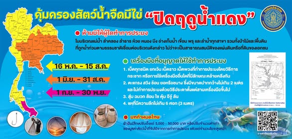 “ฤดูน้ำแดง 2568” คุ้มครองสัตว์น้ำจืดมีไข่ทั่วประเทศ  กรมประมงออกประกาศฉบับใหม่ บังคับใช้ 5 ปี 