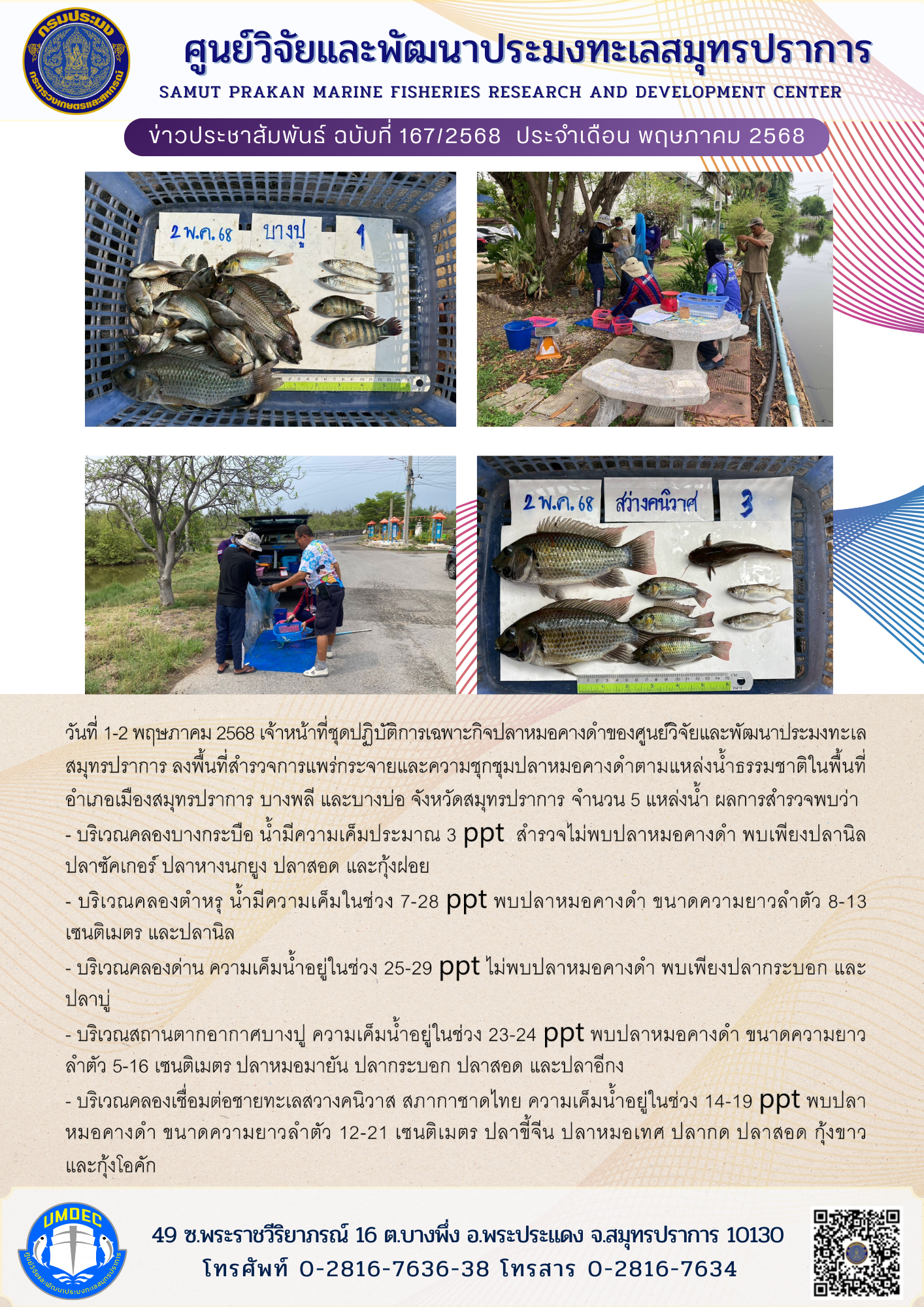 เจ้าหน้าที่ชุดปฏิบัติการเฉพาะกิจปลาหมอคางดำของศูนย์วิจัยและพัฒนาประมงทะเลสมุทรปราการ ลงพื้นที่สำรวจการแพร่กระจายและความชุกชุมปลาหมอคางดำตามแหล่งน้ำธรรมชาติ จังหวัดสมุทรปราการ..คลิก