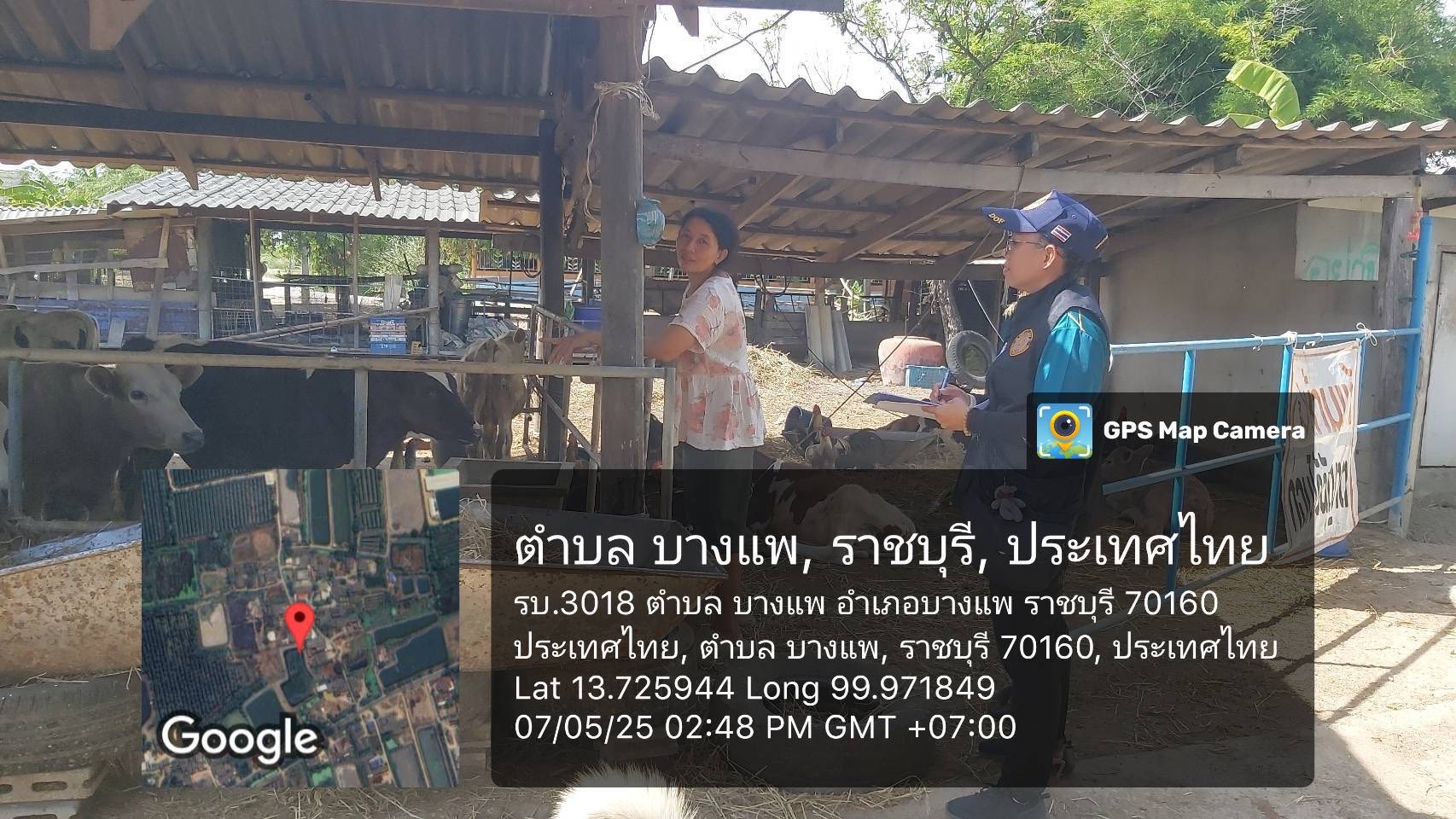 ลงพื้นที่สำรวจปริมาณน้ำนมโคและประชากรโคนม ในปี 2568