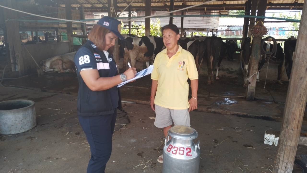 ลงพื้นที่สำรวจปริมาณน้ำนมโคและประชากรโคนม ในปี 2568