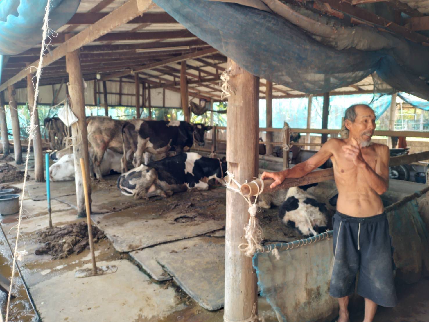 ลงพื้นที่สำรวจปริมาณน้ำนมโคและประชากรโคนม ในปี 2568