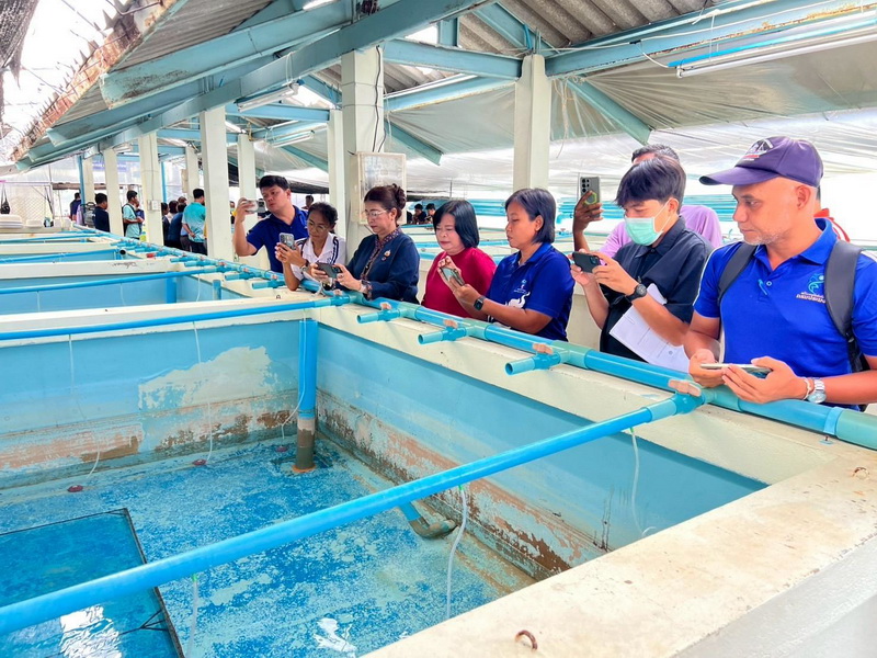 ร่วมอบรม หลักสูตรการอนุบาลปลาชะโอนให้มีประสิทธิภาพสูงโดยการควบคุมอุณหภูมิ..คลิก