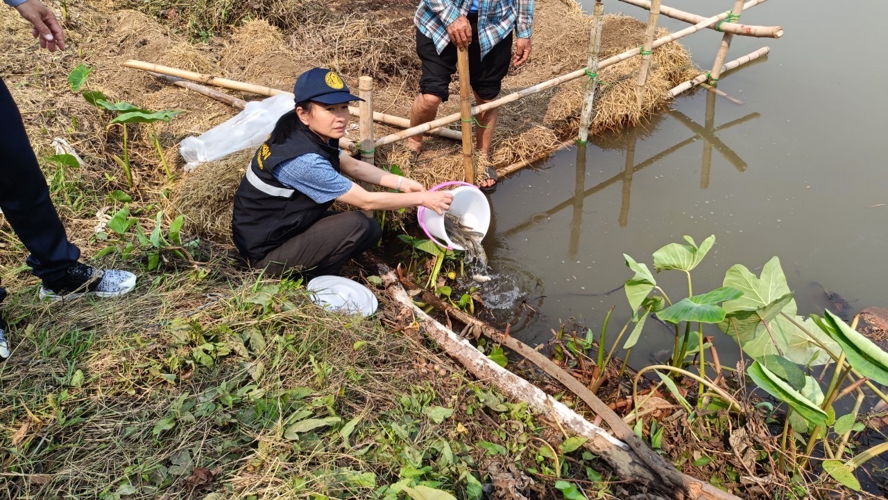 โครงการบริหารจัดการทรัพยากรประมงเพิ่มผลผลิตในแหล่งน้ำชุมชน เพื่อสร้างรายได้ และลดค่าครองชีพของประชาชน ปี พ.ศ.2568