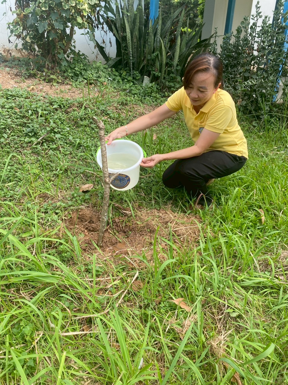 วันต้นไม้ประจำปีของชาติ ประจำปี 2568
