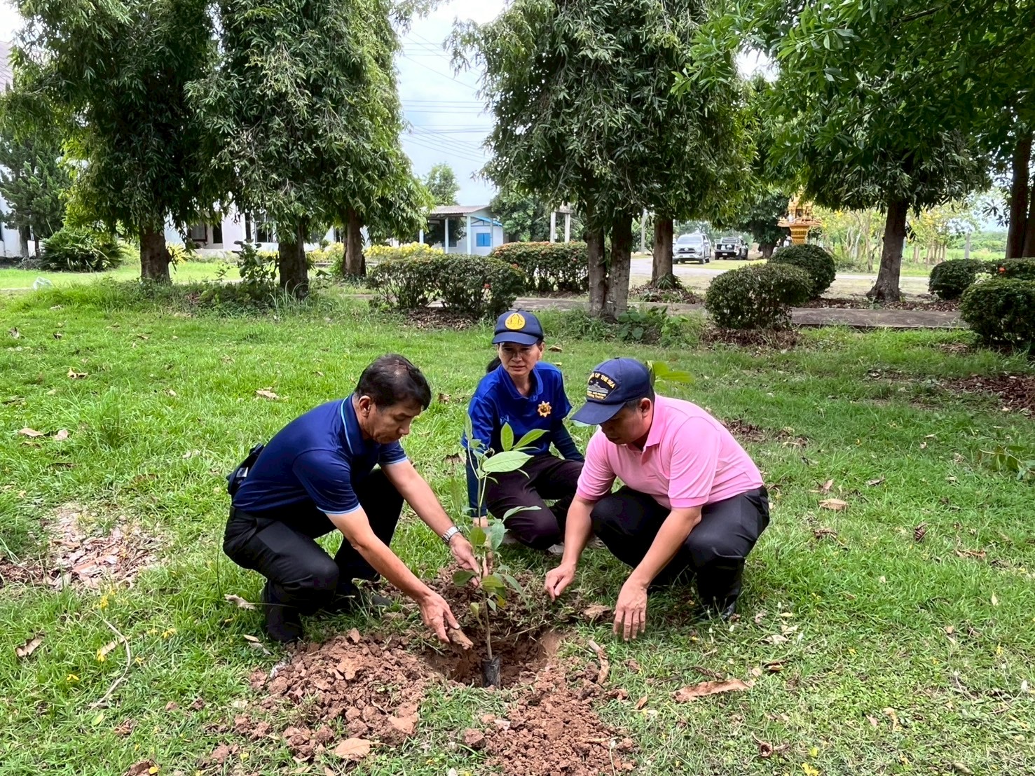 วันต้นไม้ประจำปีของชาติ ประจำปี 2568