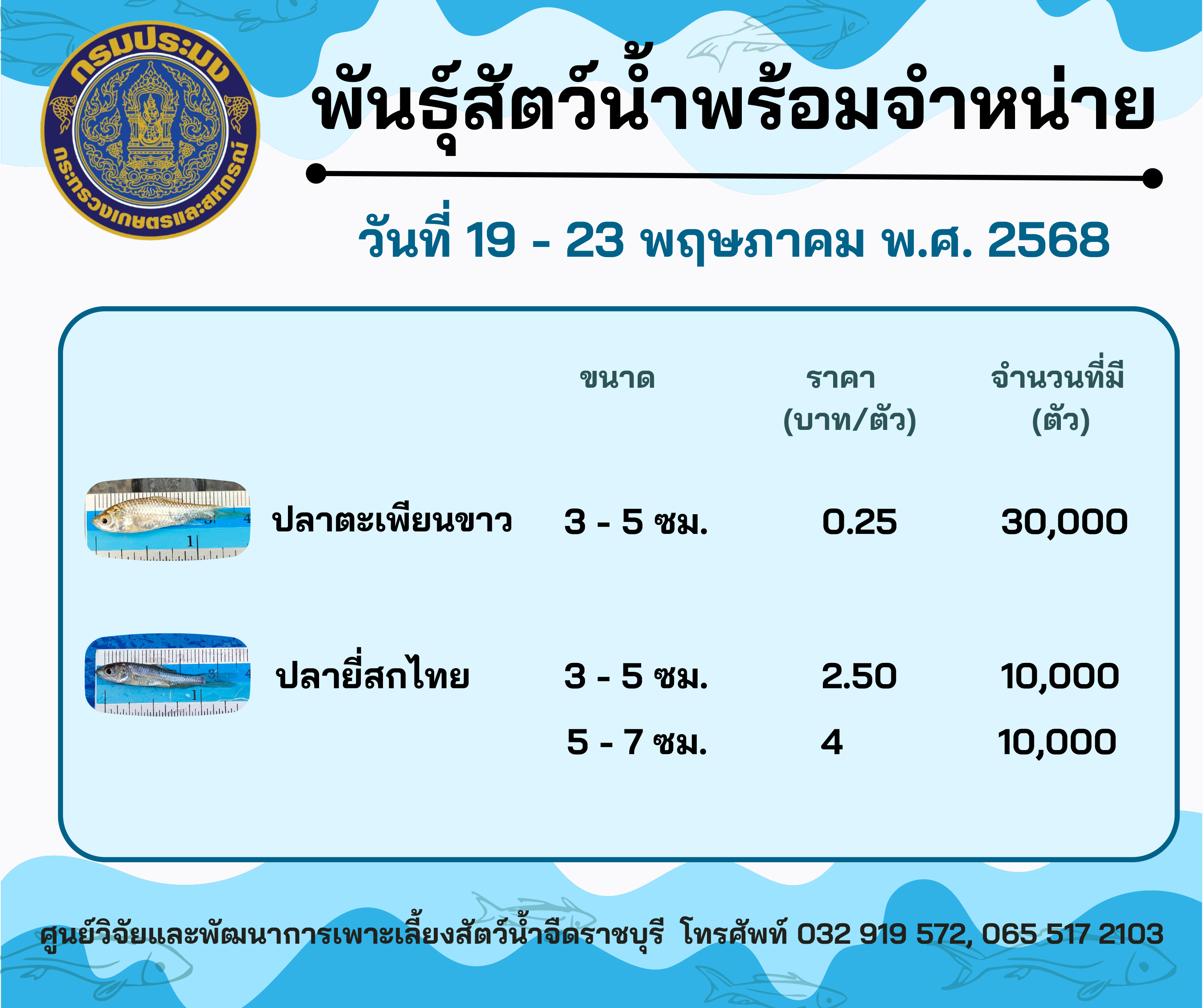 ลูกพันธุ์สัตว์น้ำพร้อมจำหน่ายสัปดาห์นี้ วันที่ 19 - 23 พฤษภาคม พ.ศ. 2568