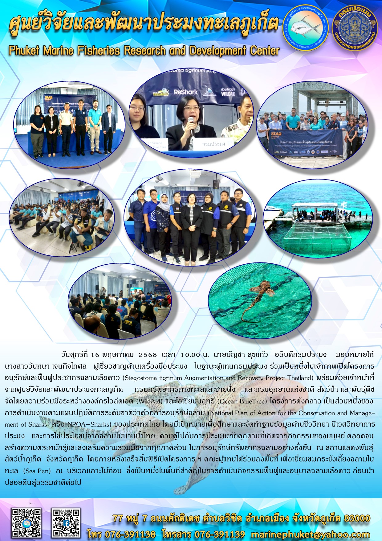 วันศุกร์ที่ 16 พฤษภาคม 2568 เวลา 10.00 น. นายบัญชา สุขแก้ว อธิบดีกรมประมง มอบหมายให้ นางสาววันทนา เจนกิจโกศล ผู้เชี่ยวชาญด้านเครื่องมือประมง ในฐานะผู้แทนกรมประมง ร่วมเป็นหนึ่งในเจ้าภาพเปิดโครงการอนุรักษ์และฟื้นฟูประชากรฉลามเสือดาว (Stegostoma tigrinum Augmentation, and Recovery Project Thailand) พร้อมด้วยเจ้าหน้าที่จากศูนย์วิจัยและพัฒนาประมงทะเลกูเก็ต ฯลฯ..คลิก