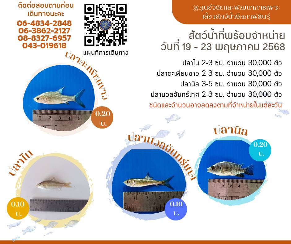 สัตว์น้ำพร้อมจำหน่าย..คลิก