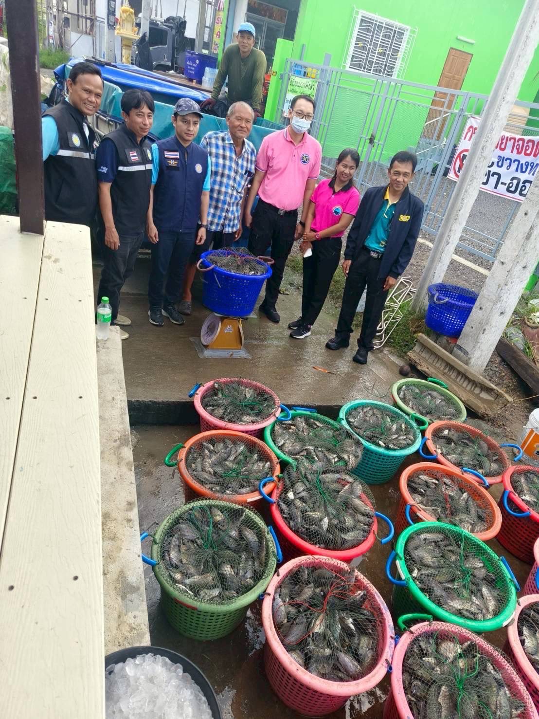 สำนักงานประมงพื้นที่กรุงเทพมหานคร ลงพื้นที่รับซื้อปลาหมอคางดำ ตามโครงการควบคุมและกำจัดประชากรปลาหมอคางดำ ปีงบประมาณ 2568