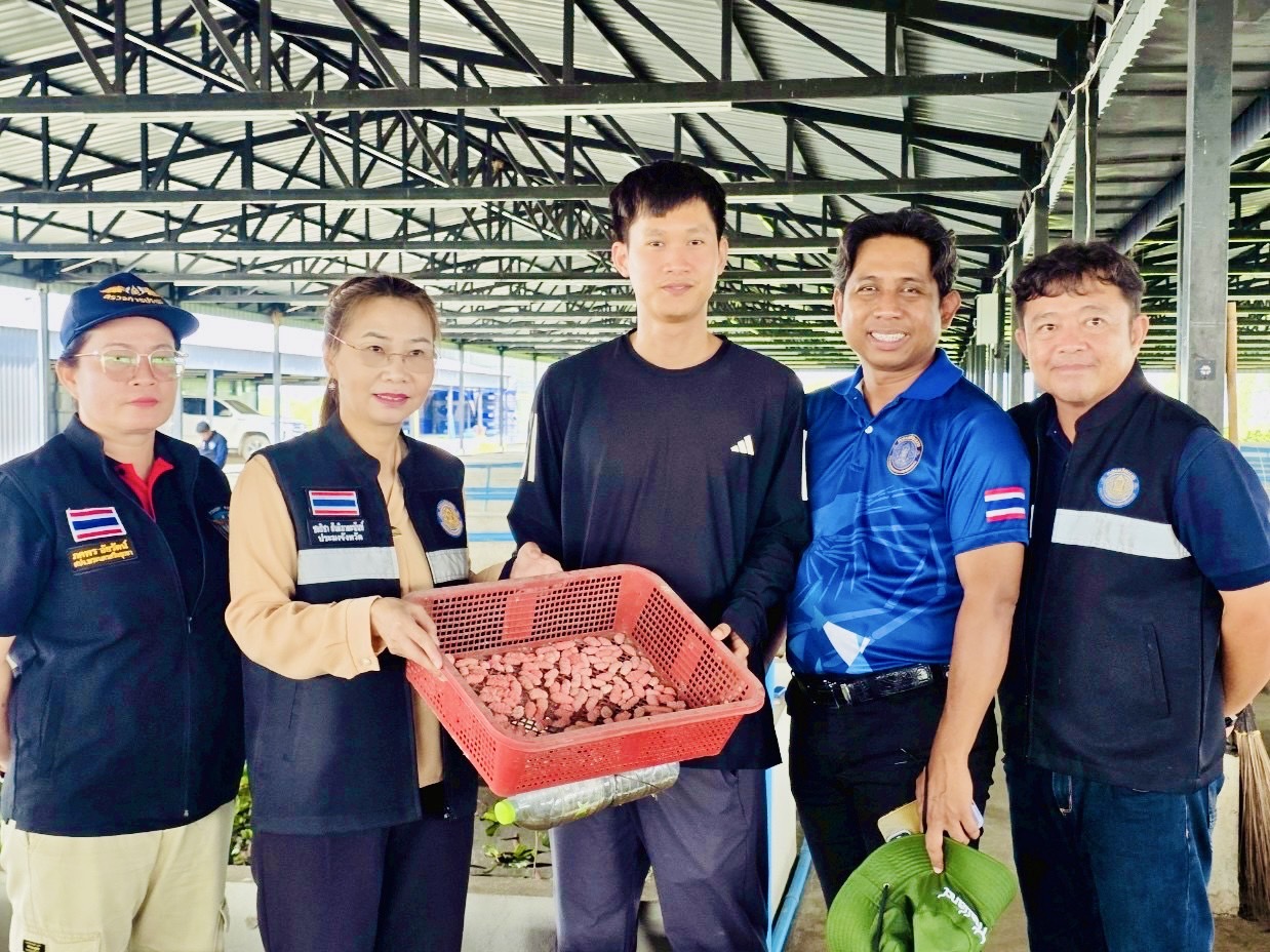 รูป ประกอบบทความ2