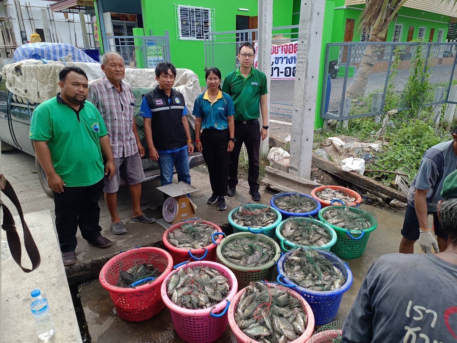 สำนักงานประมงพื้นที่กรุงเทพมหานคร ลงพื้นที่รับซื้อปลาหมอคางดำ ตามโครงการควบคุมและกำจัดประชากรปลาหมอคางดำ ปีงบประมาณ 2568
