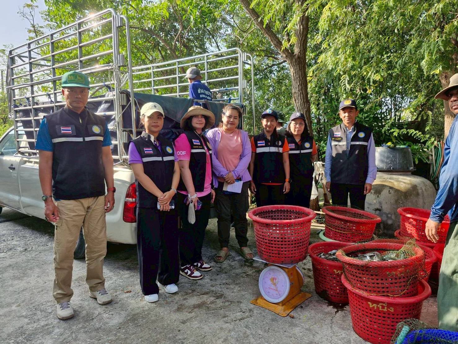 สำนักงานประมงพื้นที่กรุงเทพมหานคร ลงพื้นที่รับซื้อปลาหมอคางดำ ตามโครงการควบคุมและกำจัดประชากรปลาหมอคางดำ ปีงบประมาณ 2568