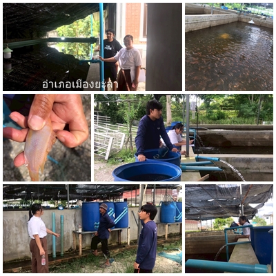 ผลการปฏิบัติงานประจำวันพฤหัสบดีที่ 22 พฤษภาคม 2568