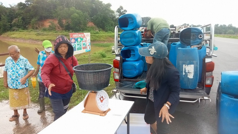 ร่วมตรวจรับและปล่อยพันธุ์กุ้งก้ามกราม ลงแหล่งน้ำทะเลพระ อ.เขาชัยสน จ.พัทลุง..คลิก