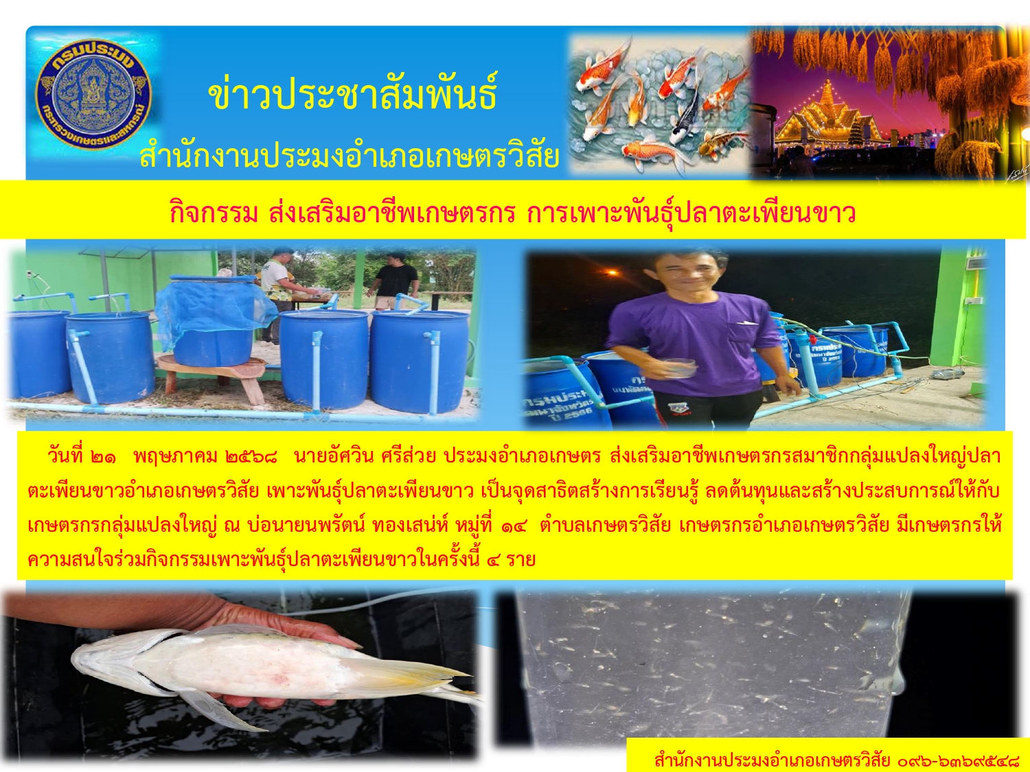 กิจกรรมส่งเสริมอาชีพเกษตรกร การเพาะพันธุ์ปลาตะเพียนขาว..คลิก