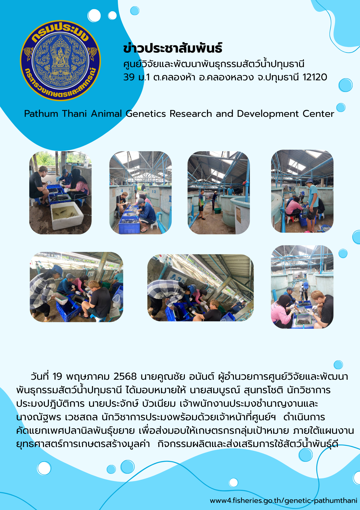 คัดแยกเพศปลานิลพันธุ์ขยาย เพื่อส่งมอบให้เกษตรกรกลุ่มเป้าหมาย ภายใต้แผนงาน ยุทธศาสตร์การเกษตรสร้างมูลค่า กิจกรรมผลิตและส่งเสริมการใช้สัตว์น้ำพันธุ์ดี