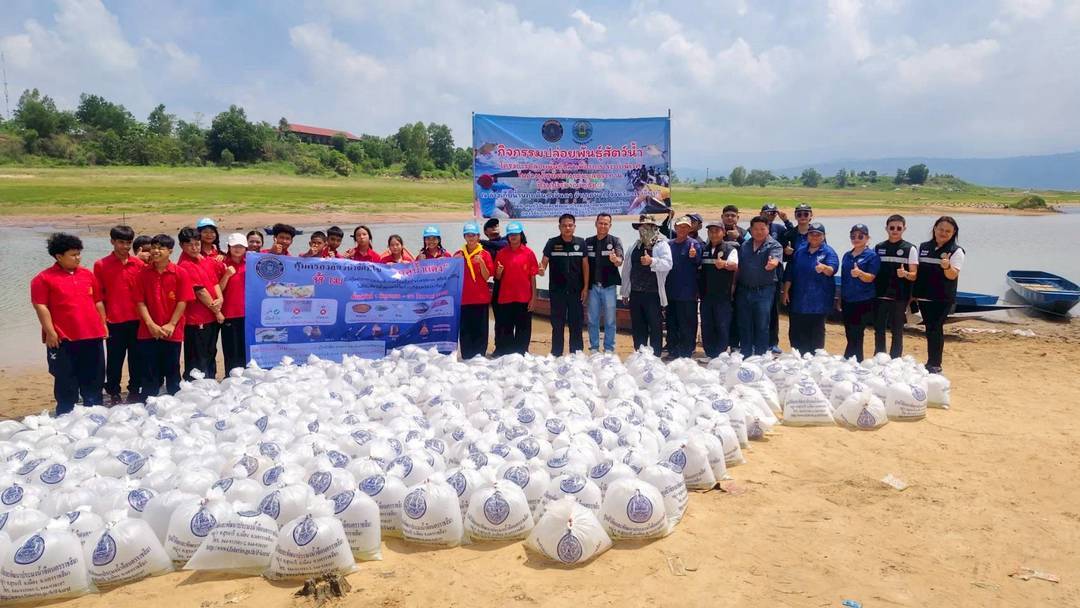 ร่วมกิจกรรมปล่อยพันธุ์สัตว์น้ำโครงการปล่อยพันธุ์ปลาเพื่อรักษาระบบนิเวศในอ่างเก็บน้ำของกรมชลประทาน