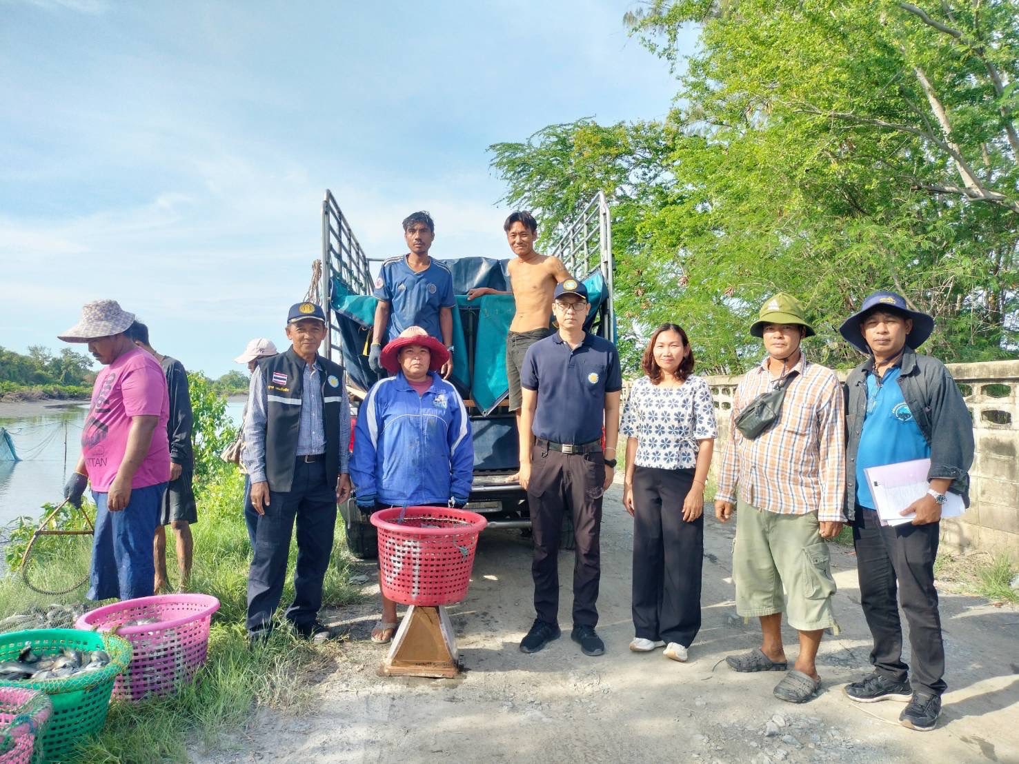 สำนักงานประมงพื้นที่กรุงเทพมหานคร ลงพื้นที่รับซื้อปลาหมอคางดำ ตามโครงการควบคุมและกำจัดประชากรปลาหมอคางดำ ปีงบประมาณ 2568