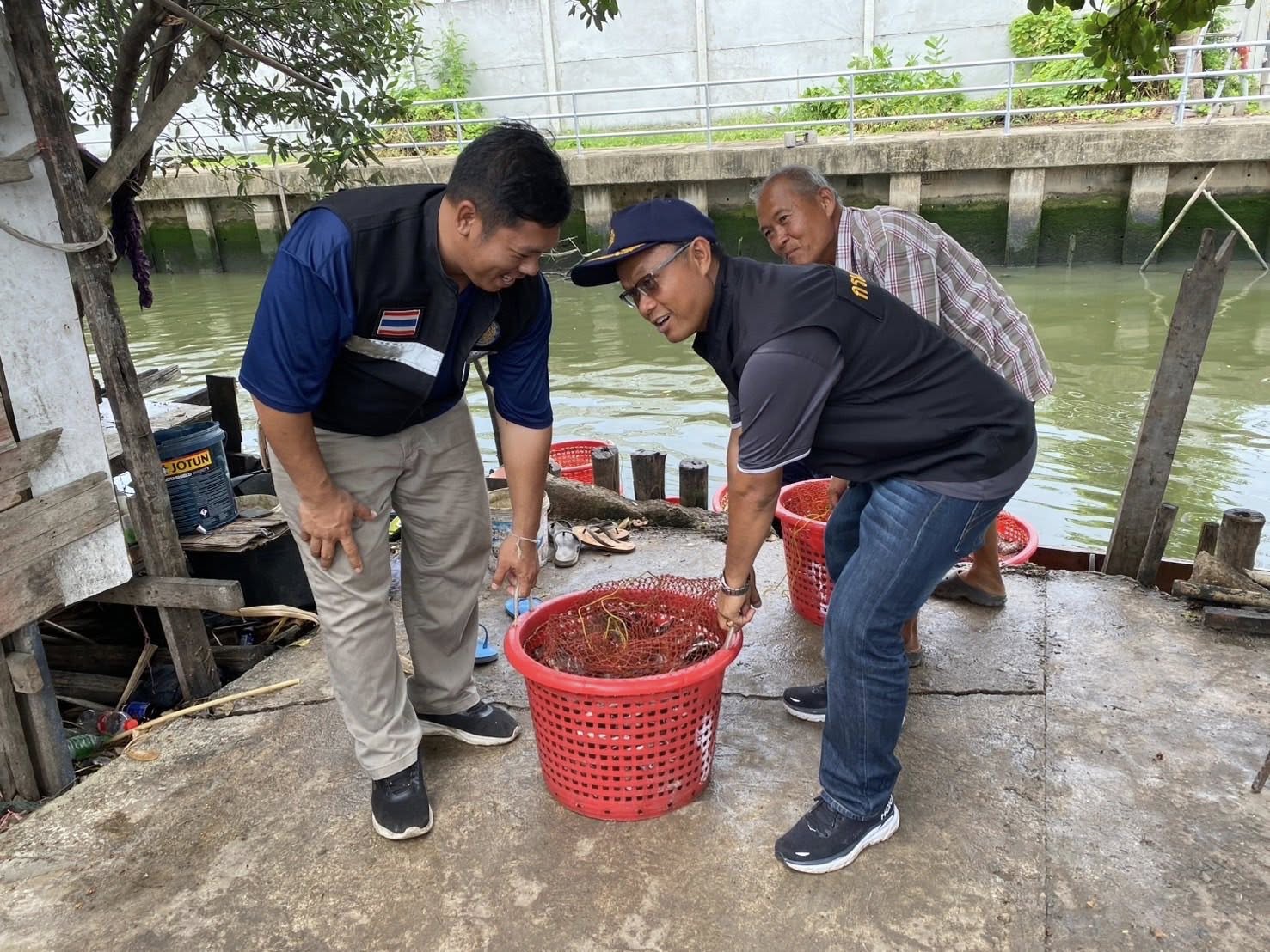 สำนักงานประมงพื้นที่กรุงเทพมหานคร จัดกิจกรรม “ลงแขกลงคลอง” จับปลาหมอคางดำกว่า 1,300 กิโลกรัม ตามโครงการควบคุมและกำจัดประชากรปลาหมอคางดำ ปี 2568