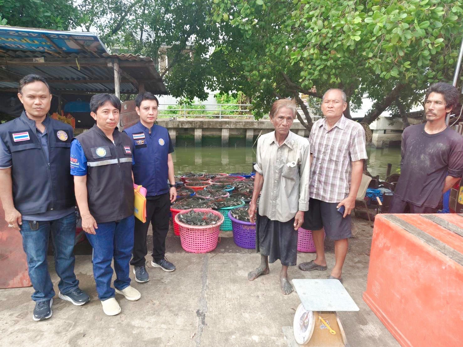 สำนักงานประมงพื้นที่กรุงเทพมหานคร ลงพื้นที่รับซื้อปลาหมอคางดำ ตามโครงการควบคุมและกำจัดประชากรปลาหมอคางดำ ปีงบประมาณ 2568