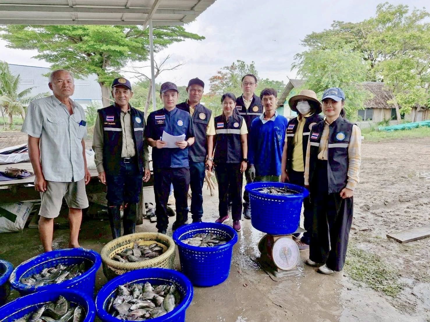 สำนักงานประมงพื้นที่กรุงเทพมหานคร ลงพื้นที่รับซื้อปลาหมอคางดำ ตามโครงการควบคุมและกำจัดประชากรปลาหมอคางดำ ปีงบประมาณ 2568