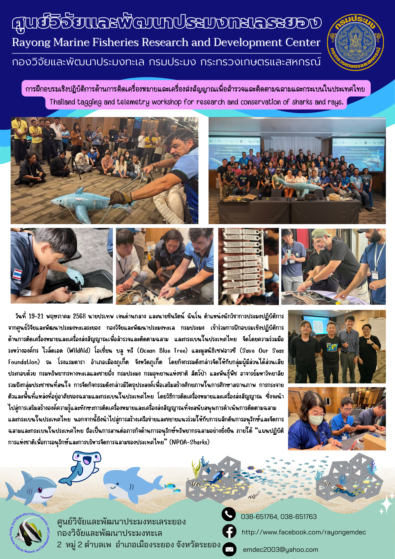 อบรมเชิงปฏิบัติการ ด้านการติดเครื่องหมายและเครื่องส่งสัญญาณเพื่อสำรวจและติดตามฉลาม และกระเบนในประเทศไทย..คลิก