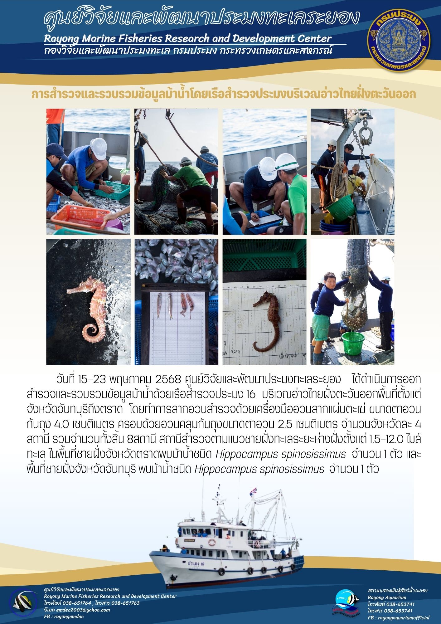 สำรวจและรวบรวมข้อมูลม้าน้ำด้วยเรือสำรวจประมง 16  บริเวณอ่าวไทยฝั่งตะวันออก