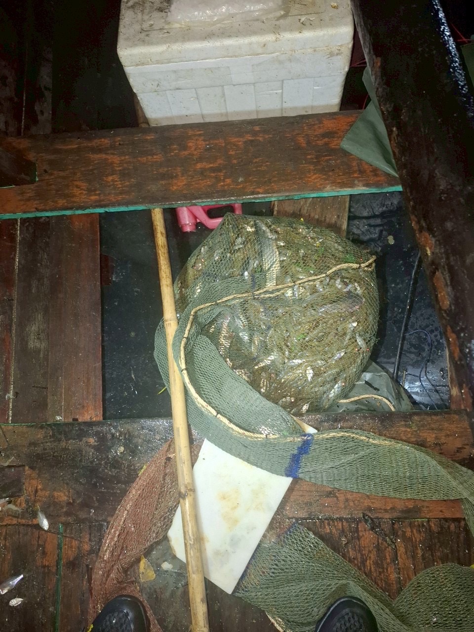 เรือตรวจประมงทะเล 324 จับกุมเรือประมงผิดกฎหมายในพื้นที่ปิดอ่าว