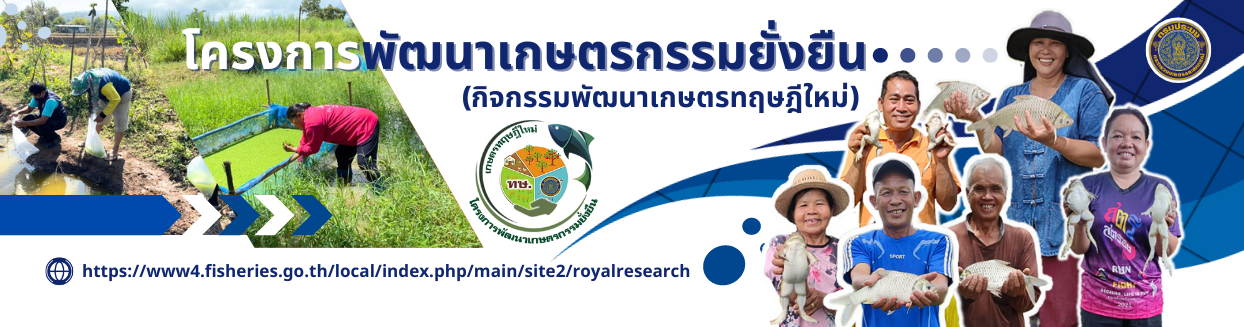 โครงการทฤษฎีใหม่