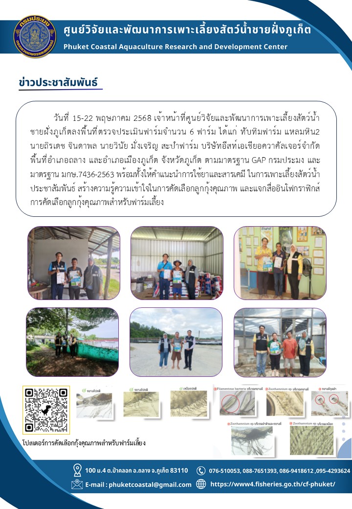 วันที่ 15-22 พฤษภาคม 2568 เจ้าหน้าที่ศูนย์วิจัยและพัฒนาการเพาะเลี้ยงสัตว์น้ำชายฝั่งภูเก็ตลงพื้นที่ตรวจประเมินฟาร์มจำนวน 6 ฟาร์ม ได้แก่ ทับทิมฟาร์ม แหลมหิน2 นายถิรเดช จินดาพล นายวินัย มั่งเจริญ สะปำฟาร์ม บริษัทอีสท์เอเชียอควาคัลเจอร์จำกัดพื้นที่อำเภอถลาง และอำเภอเมืองภูเก็ต จังหวัดภูเก็ต ตามมาตรฐาน.GAP กรมปรมง และมาตรฐาน มกษ.7436-2563 พร้อมทั้งให้คำแนะนำการใช้ยาและสารเคมี ในการเพาะเลี้ยงสัตว์น้ำ ประชาสัมพันธ์ สร้างความรู้ความเข้าใจในการคัดเลือกลูกกุ้งคุณภาพ และแจกสื่ออินโฟกราฟิกส์การคัดเลือกลูกกุ้งคุณภาพสำหรับฟาร์มเลี้ยง..คลิก