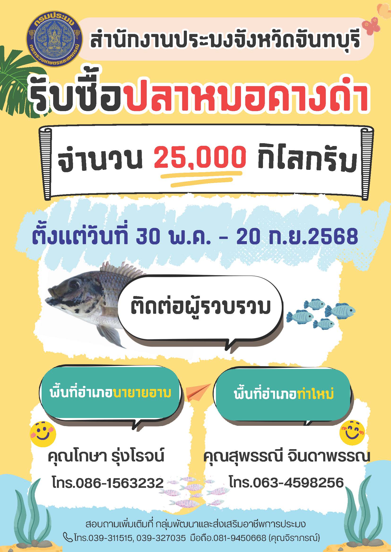 เริ่มแล้ว!!!!! ... รับซื้อปลาหมอคางดำ ภายในจังหวัดจันทบุรี ตั้งแต่วันที่ 30 พ.ค.-20 ก.ย.2568 !!!!