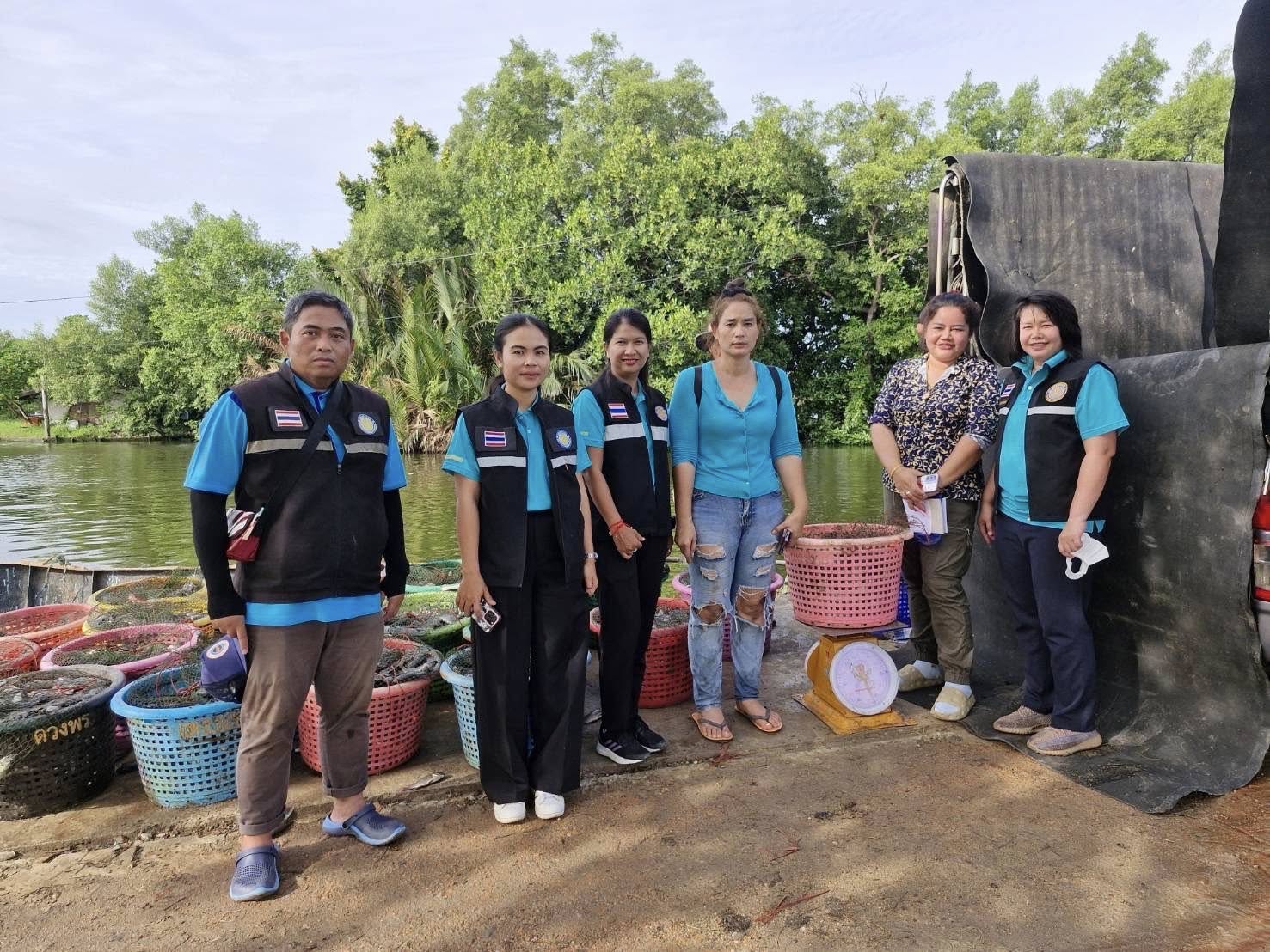 สำนักงานประมงพื้นที่กรุงเทพมหานคร ลงพื้นที่รับซื้อปลาหมอคางดำ ตามโครงการควบคุมและกำจัดประชากรปลาหมอคางดำ ปีงบประมาณ 2568