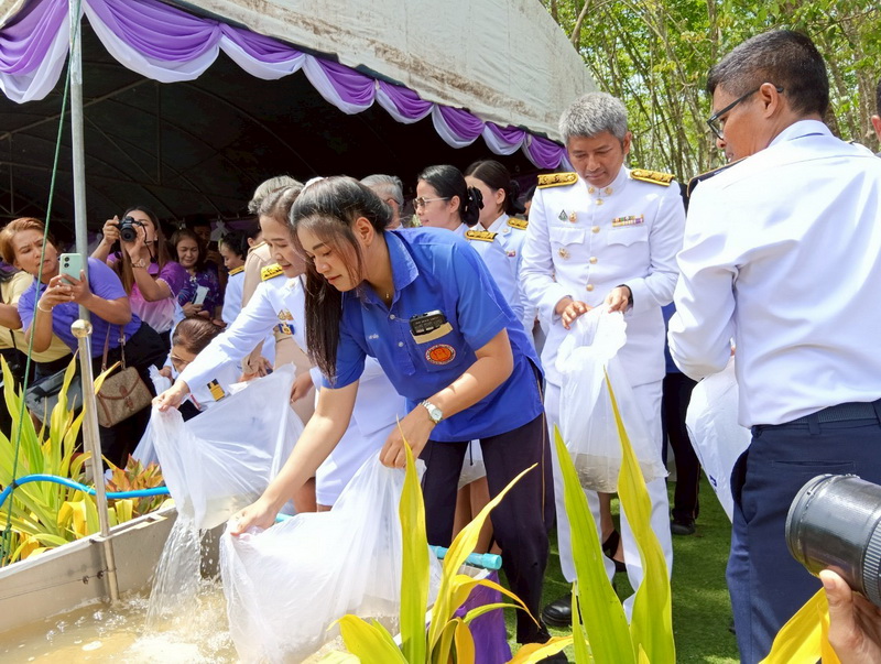 ร่วมพิธีปล่อยพันธุ์สัตว์น้ำ เพื่อเฉลิมพระเกียรติสมเด็จพระนางเจ้า ฯ..คลิก