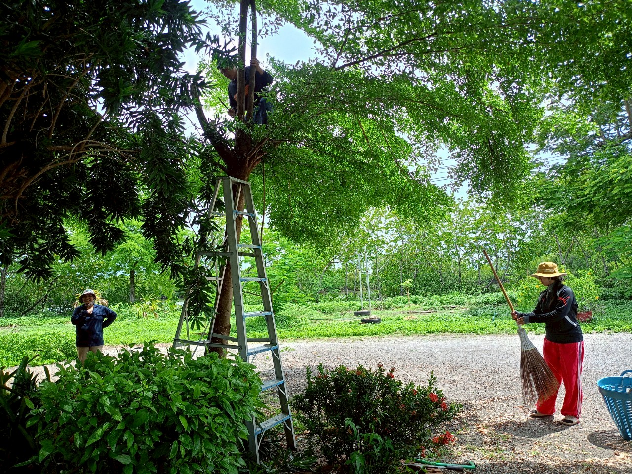 ร่วมจัดกิจกรรมเฉลิมพระเกียรติสมเด็จพระนางเจ้าฯ พระบรมราชินี เนื่องในโอกาสวันเฉลิมพระชนมพรรษา ๓ มิถุนายน ๒๕๖๘