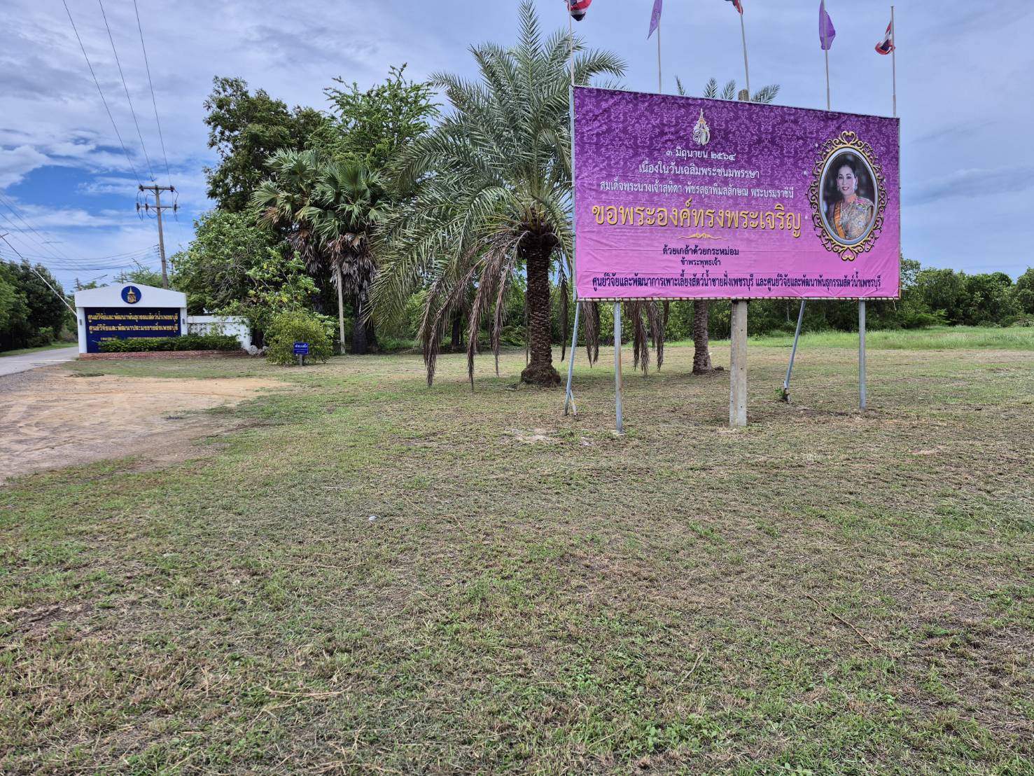 ร่วมจัดกิจกรรมเฉลิมพระเกียรติสมเด็จพระนางเจ้าฯ พระบรมราชินี เนื่องในโอกาสวันเฉลิมพระชนมพรรษา ๓ มิถุนายน ๒๕๖๘