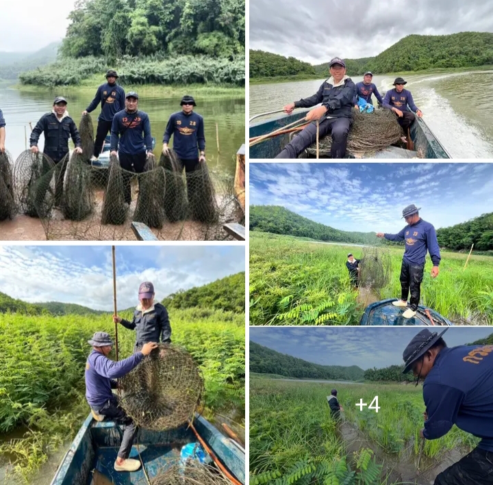 ออกปฏิบัติงานควบคุมทำการประมงในช่วงฤดูสัตว์น้ำจืดมีไข่..คลิก